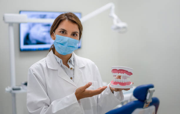 Best Mobile Emergency Dentist in Palm Harbor, FL